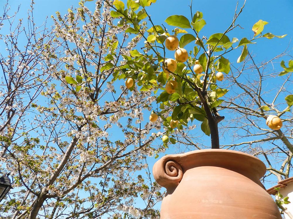 Bacio Del Sole B&B Positano Exteriör bild